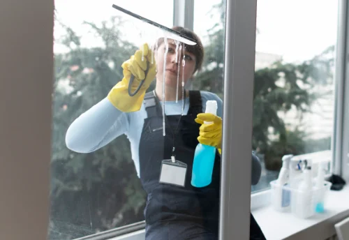 Nettoyage de vitres intérieures et extérieures à Ozon